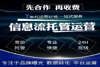 竞价广告策略案例分析